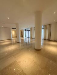 The Colonnade (D10), Condominium #578700281